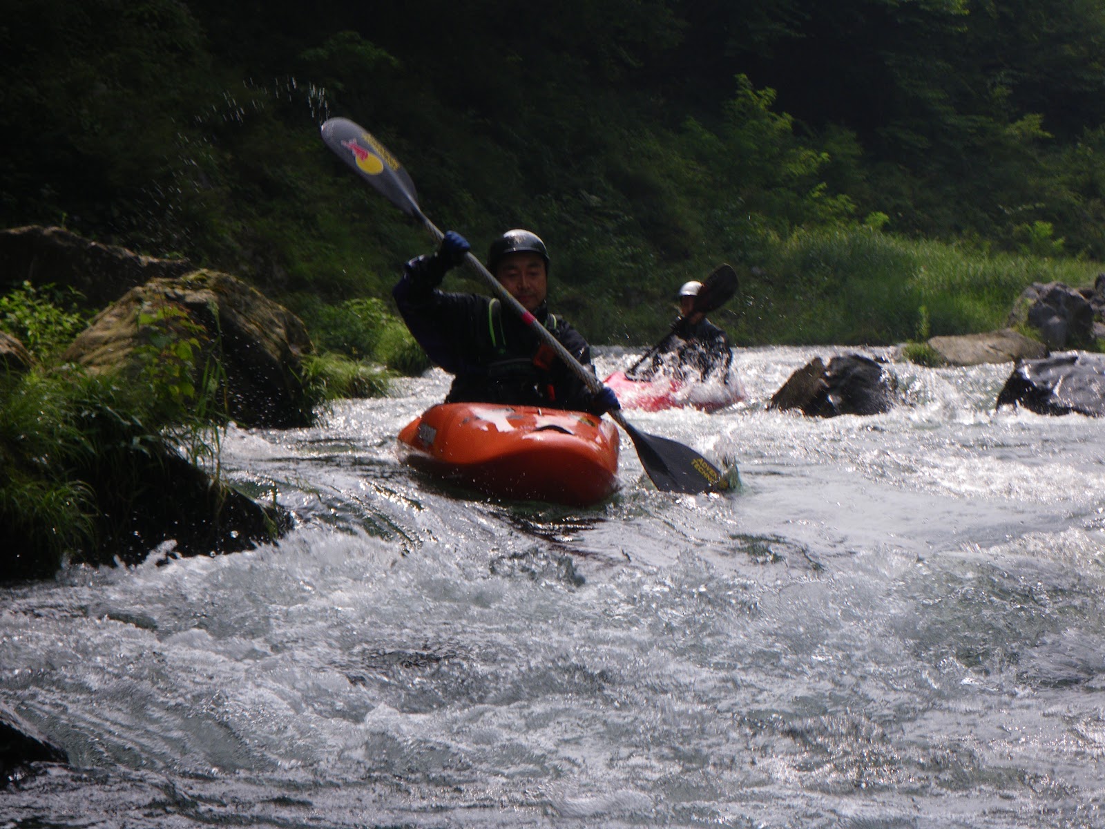  Dominum XT は何のためにありますか?