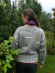 Hällristningströja