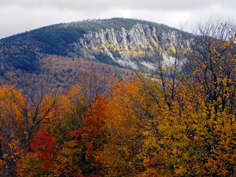 ActionshotsNH Vermont Foliage Northeast Kingdom 2010