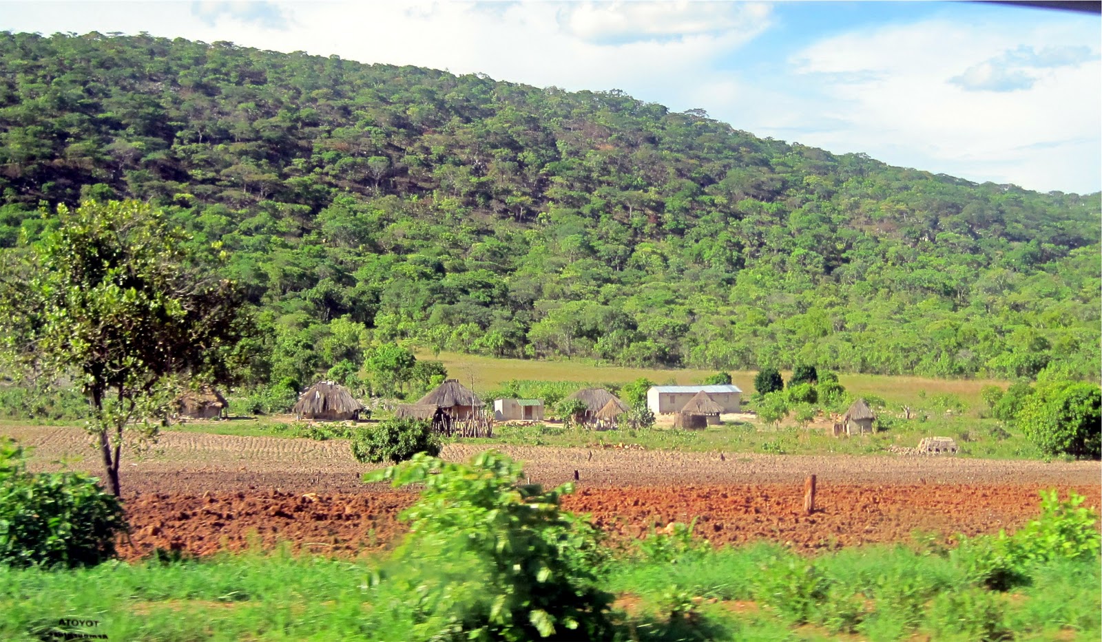 Reeds in the Wind: Trip to Southern Africa, Part 2: Zambia and Malawi