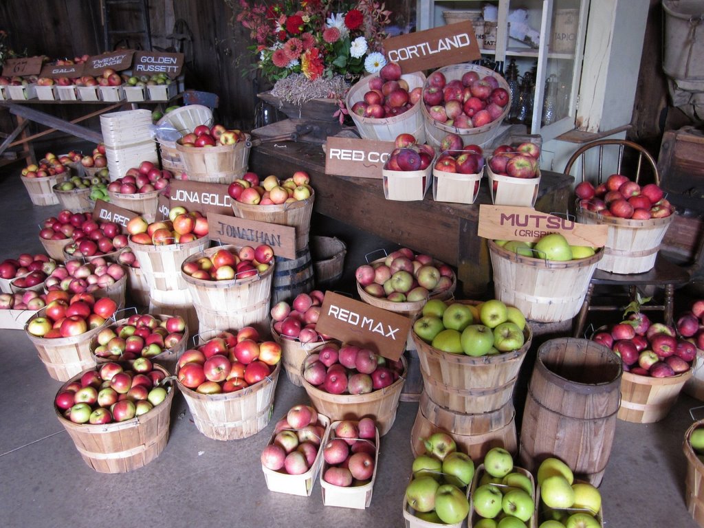 Fines In tiles Hurd Orchards