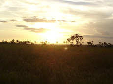 Sunset on Shire Marsh