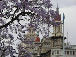 Jacarandás