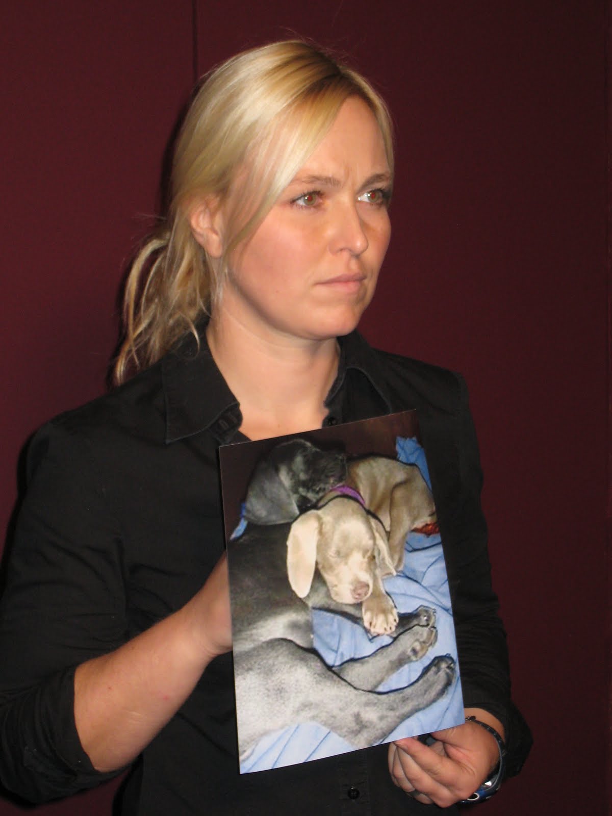 Puppy Mill Awareness Southeast Michigan Pet Store Owner Goes to Jail