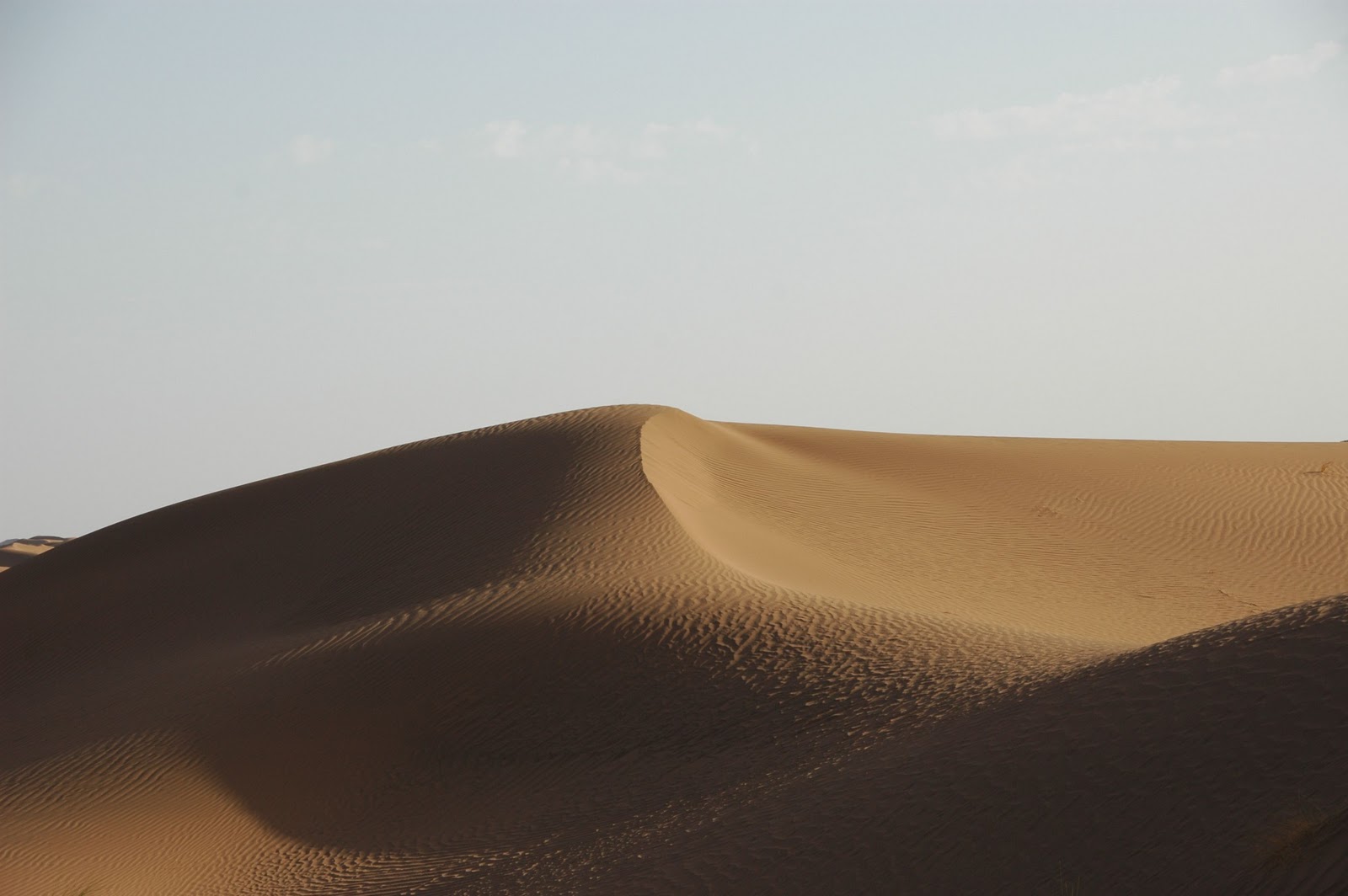 Shaghuri - Living Africa!: Action und Spannung bei der Fahrt durch die