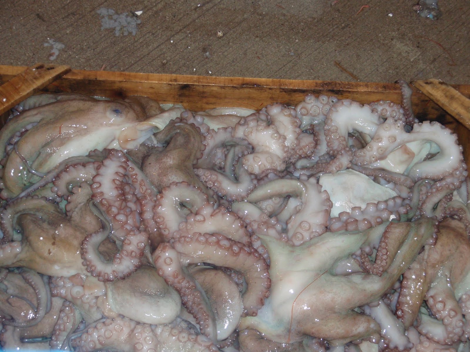 [GrcADDubsushi+077.jpg]