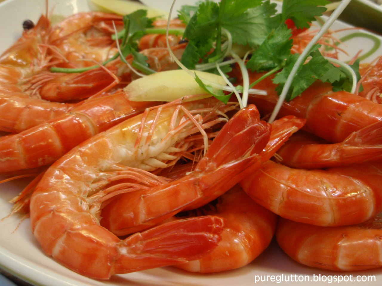 [PenangAug09+049.jpg]