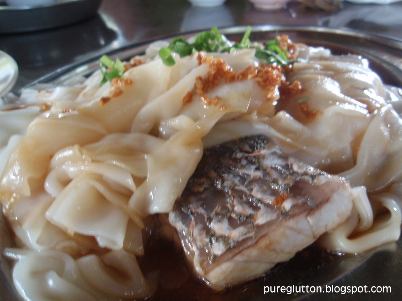 [PenangAug09+105.jpg]