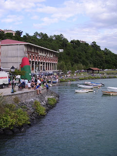 VIZCAYADO DÍA DE PLAYA EN PLENCIA