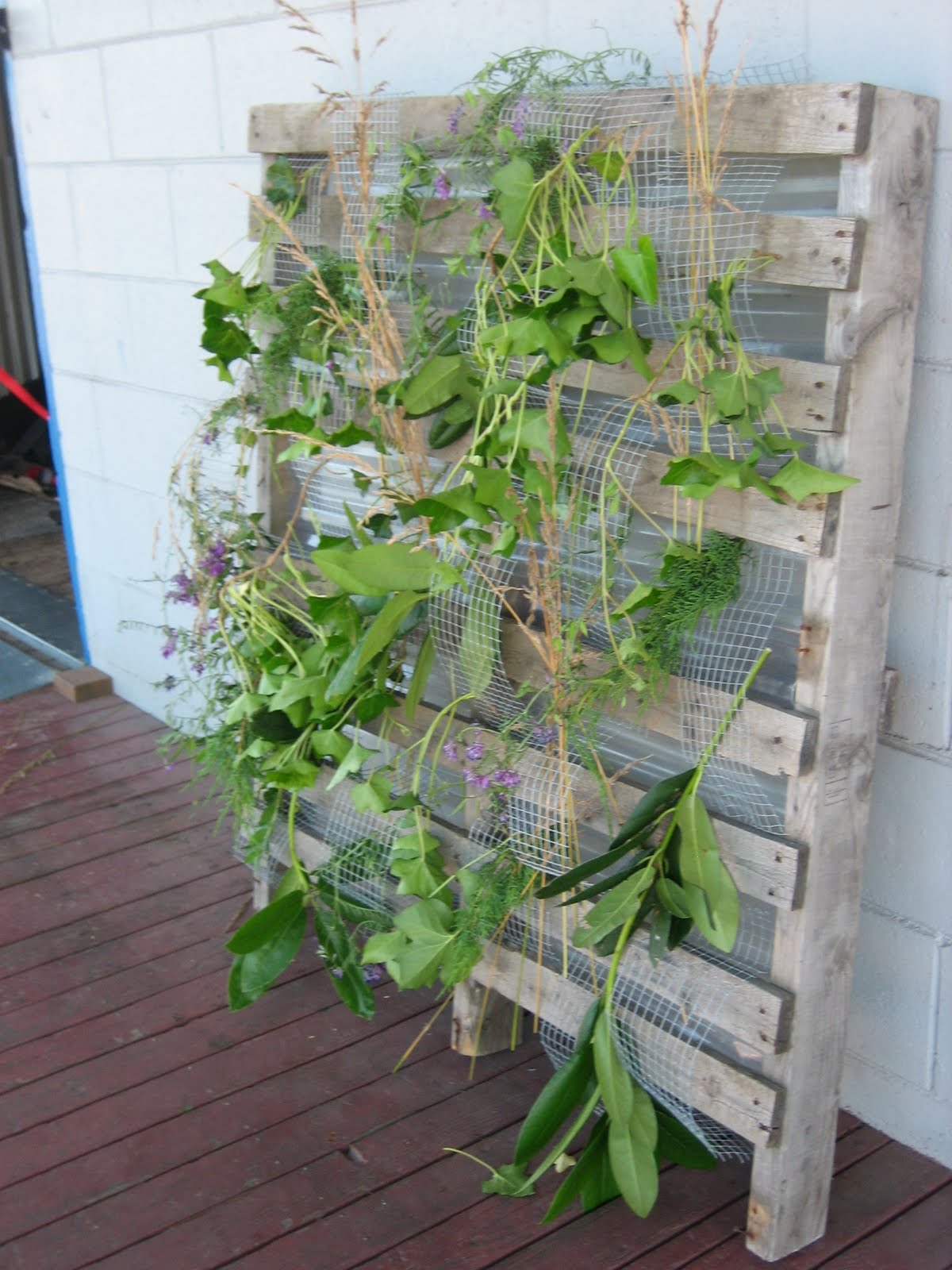 Horticultural Building Systems "Living Wall Trellis" Molly McGowan