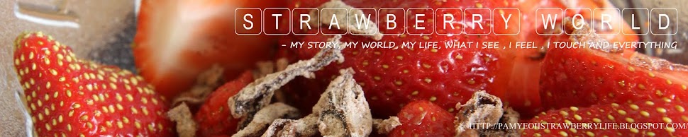 sTRAwBERRY .. mY LIFE.. MY wORLD- talks on gadget, Malaysia, food, travel, cross stich..
