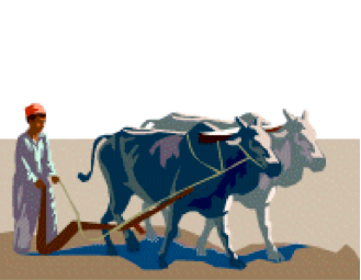 oxen bible yoked yoke together plow teams times were used thru drive