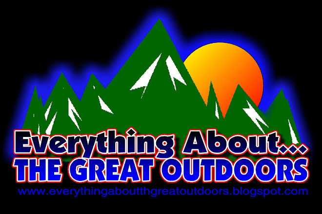 Everything About Antelope