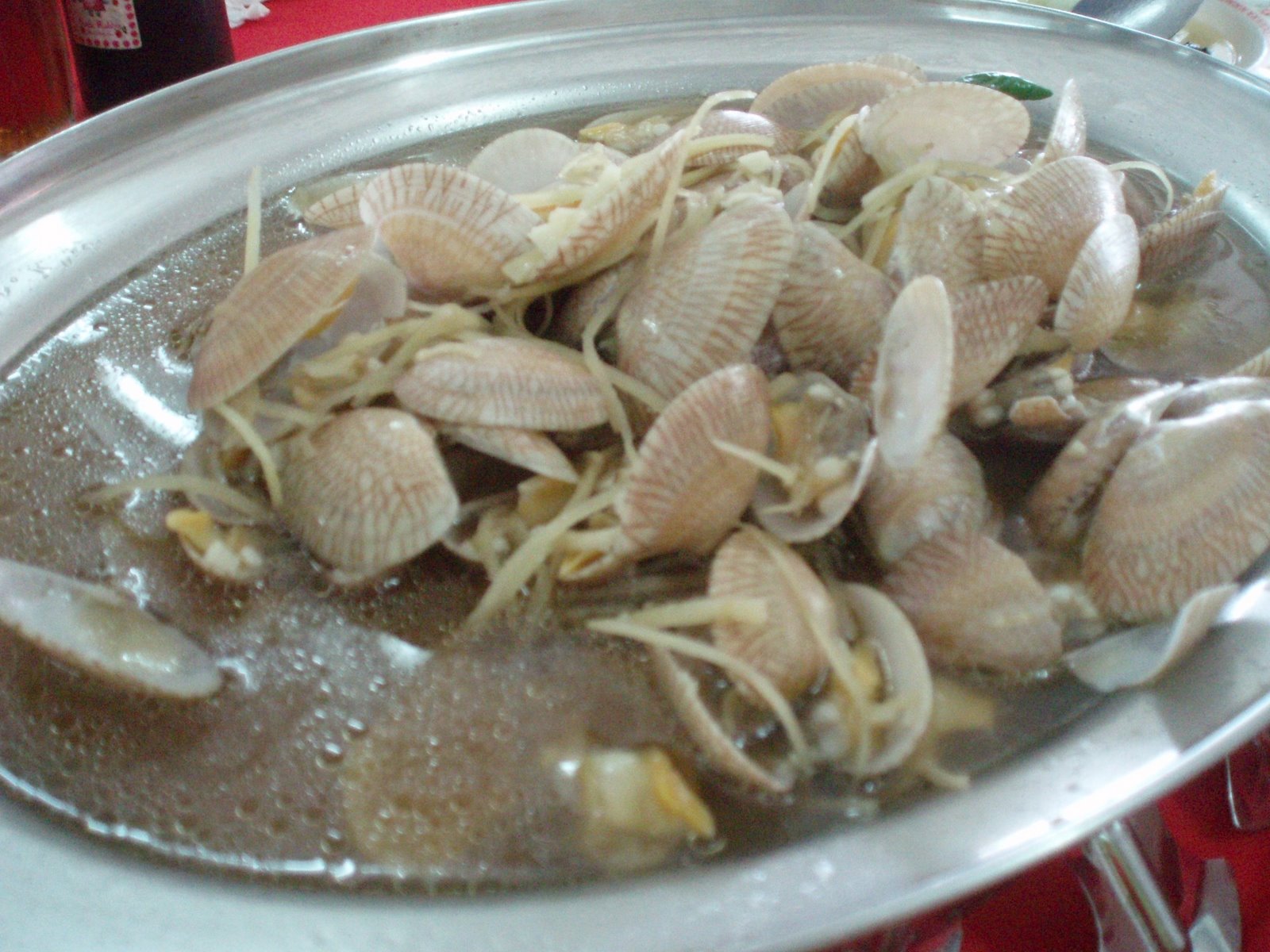 [P9300913.JPG]