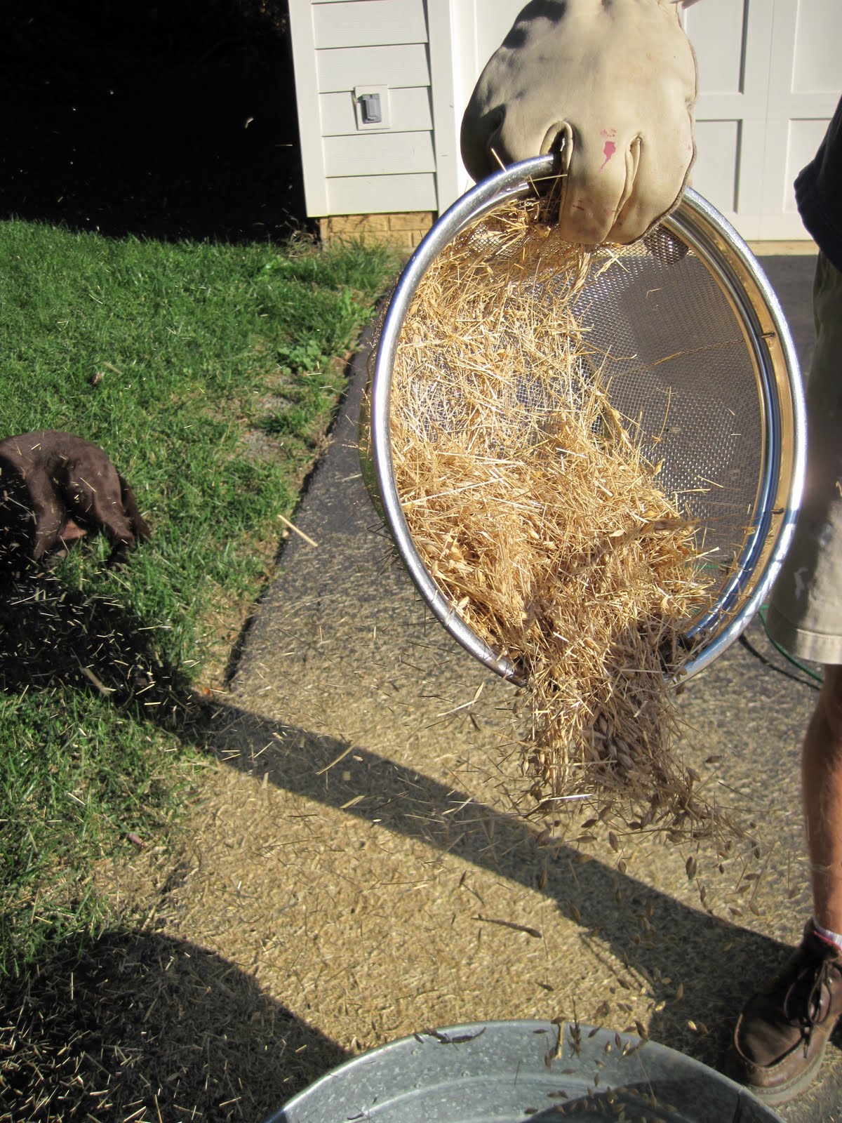 The Brown Book Growing Malting Barley at Home Threshing, Winnowing