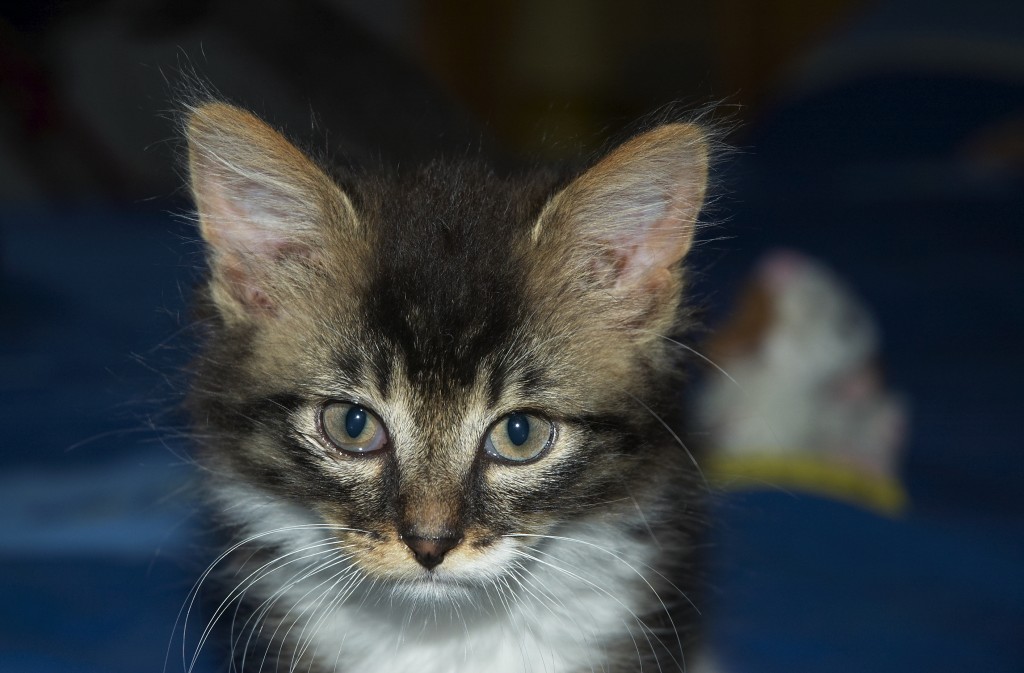 [DSC_7653portret.jpg]