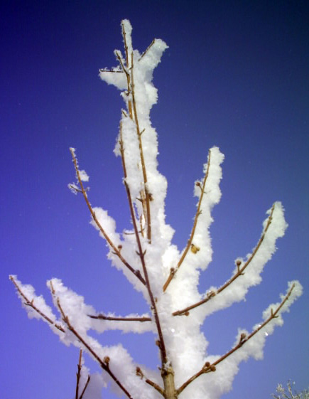 [S13020011.jpg]