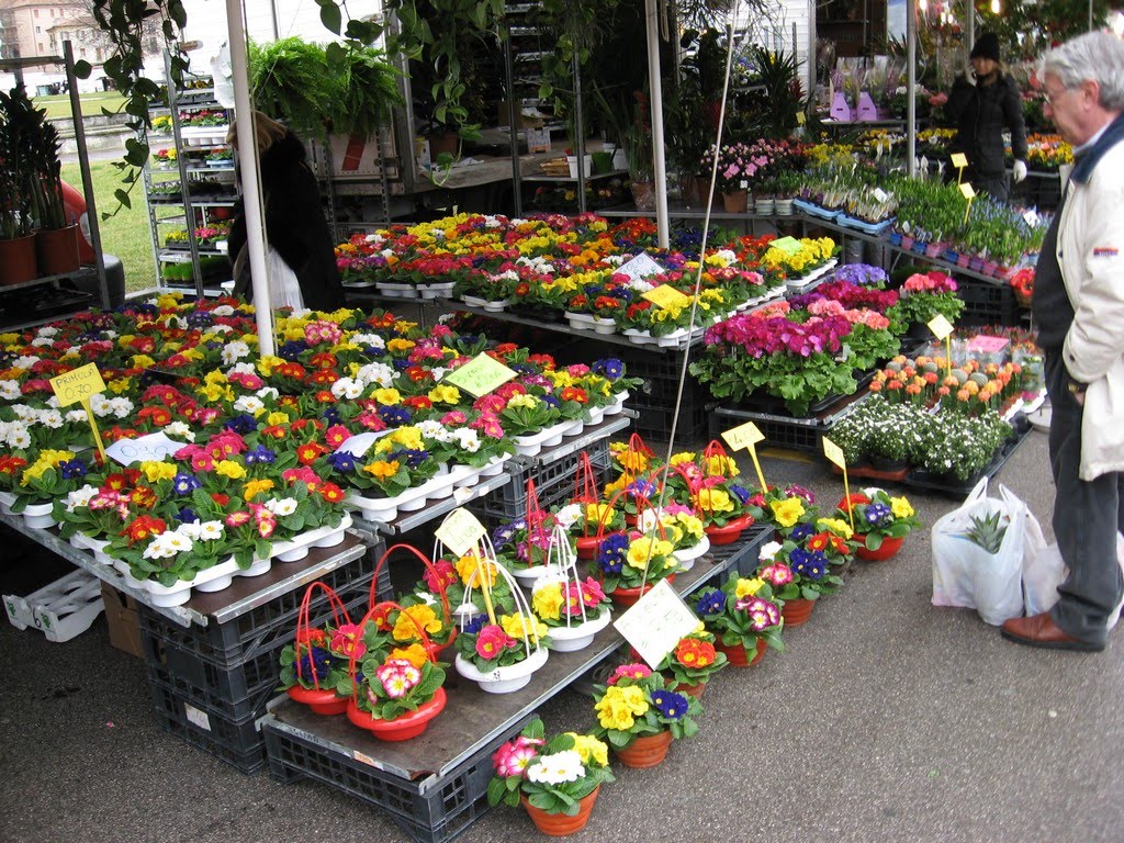 [IMG_0082.jpg]