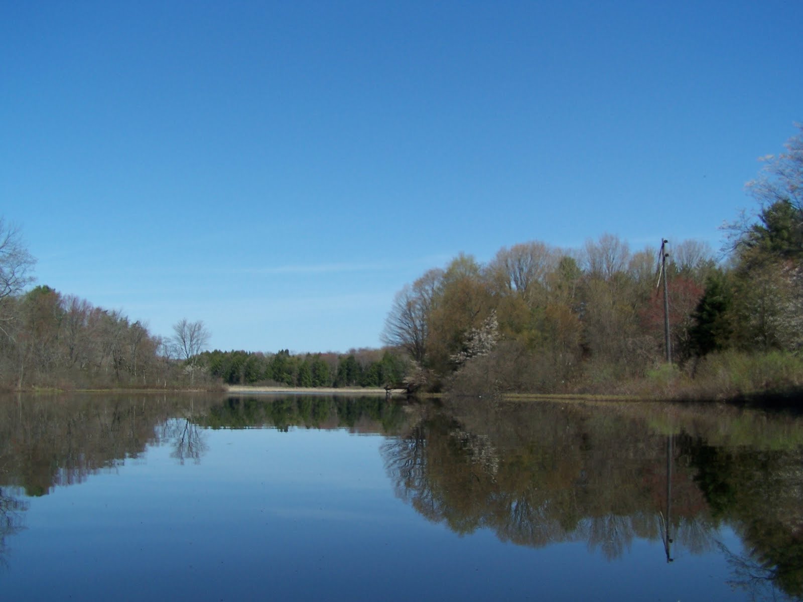 Quiet Kayaking in New York State West Branch of the Fish Creek