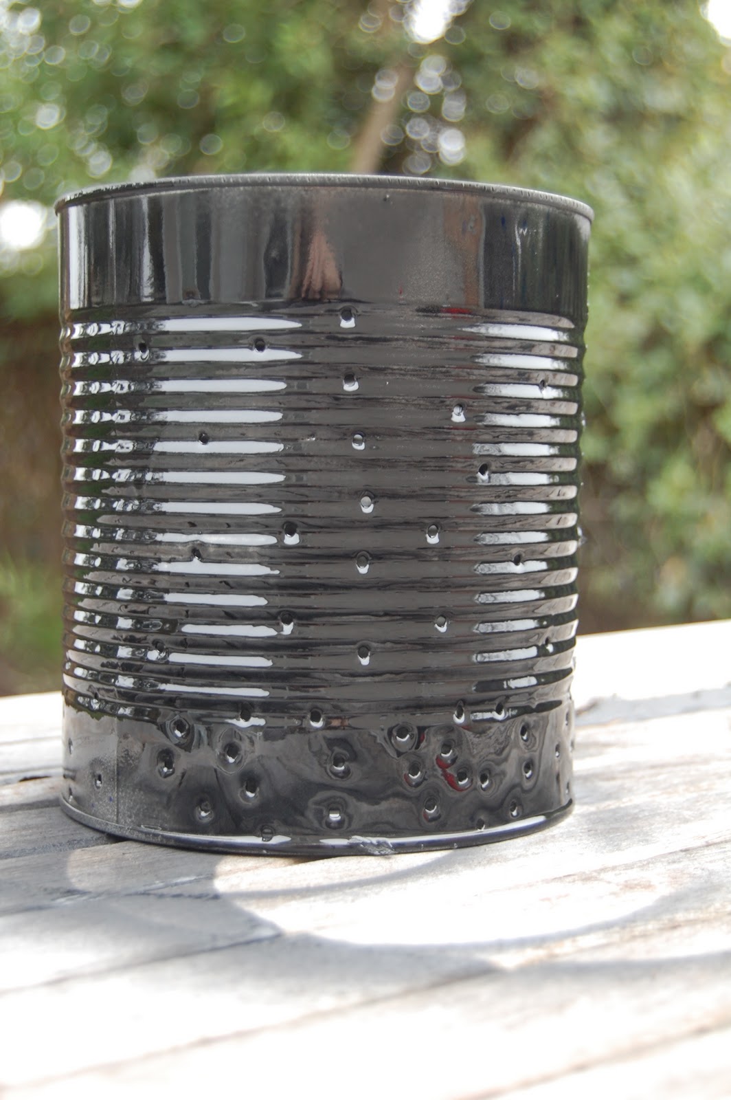 Savannah Smiles Tin can lantern tutorial