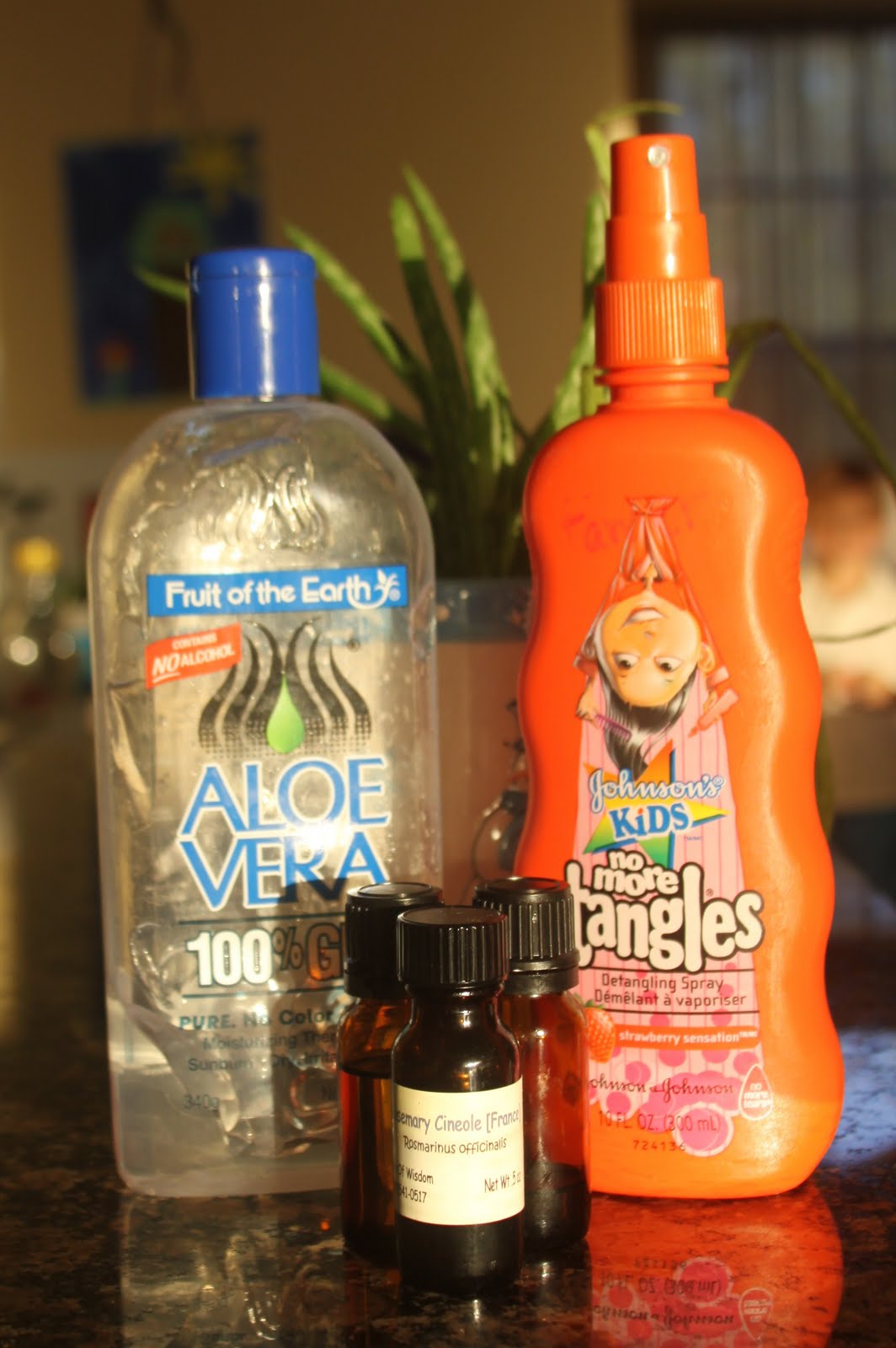 The Homemade Housewife Homemade Hair Detangler