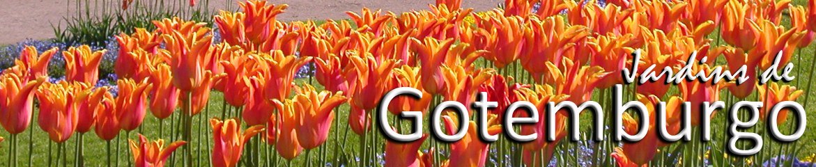 Jardins de Gotemburgo