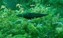 Odisealinker Dr. Jonathan Reed Alien Encounter