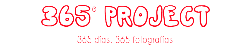 365º Project