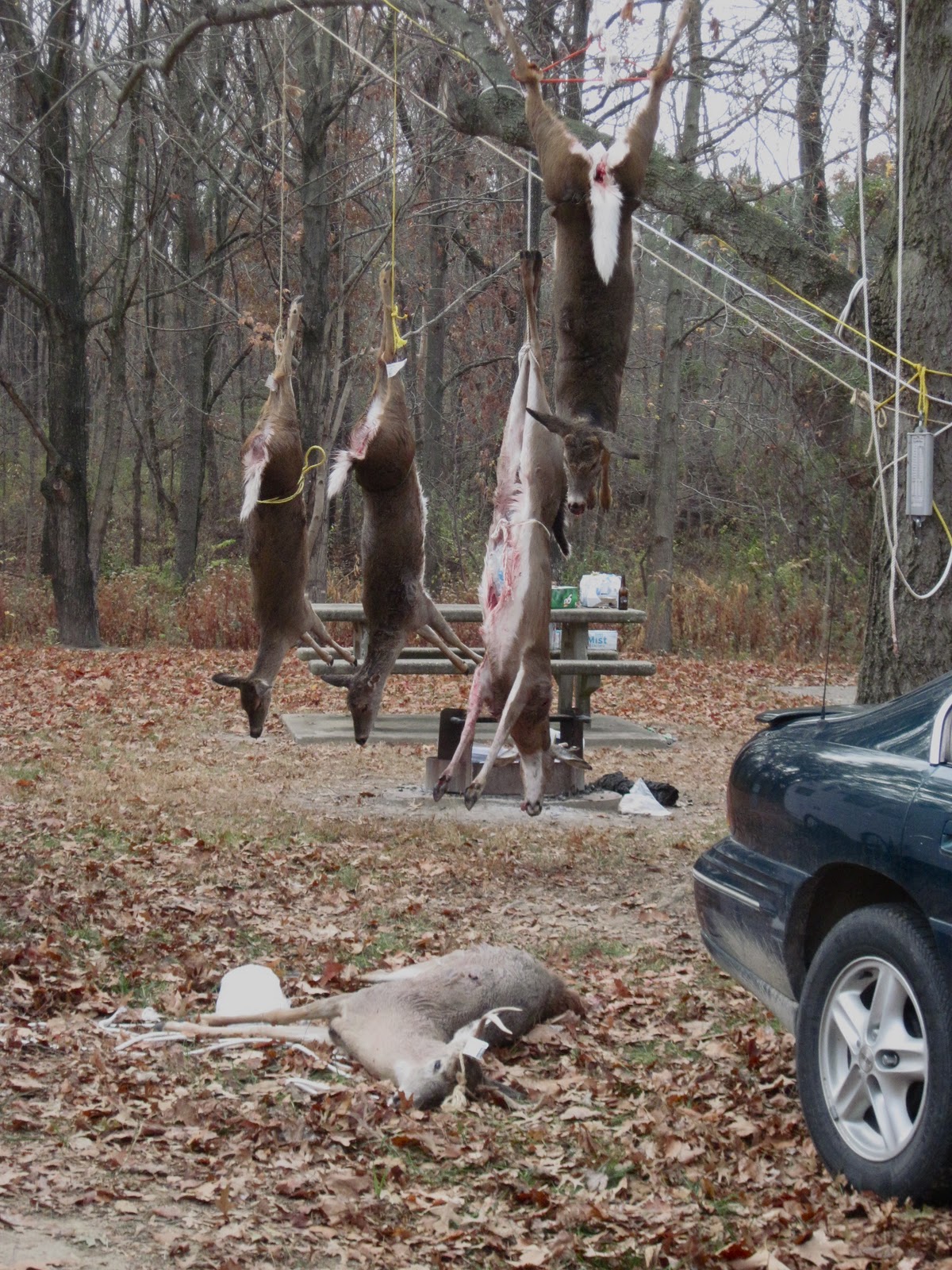 Where's Eldo? 11/01/2010 12/01/2010