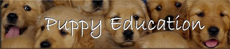 Puppy Education Blog
