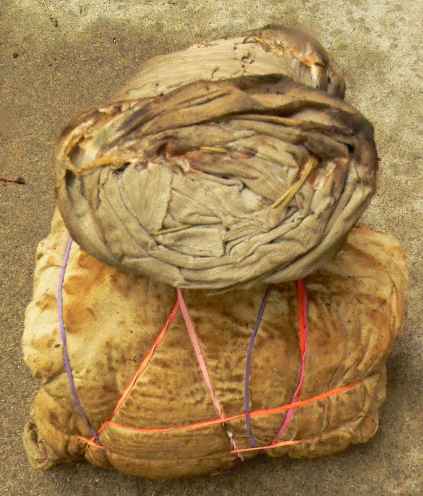 Living and Dyeing Under the Big Sky Pine Tree Dye Bundles