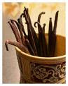 Vanilla Beans