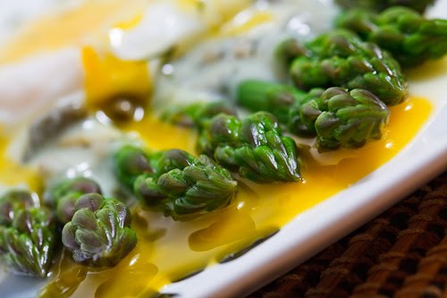 Asparagus with a Poached Egg in a Dill and Caper Avgolemono Sauce Asparagus with a Poached Egg in a Dill and Caper Avgolemono Sauce