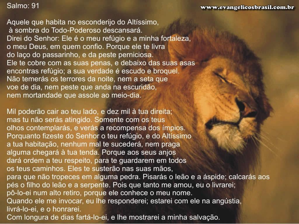 Grupo Perolas Salmos 91 grupo-perolas-salmos-91