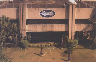 80's Warp Back: Magnolia Ice Cream