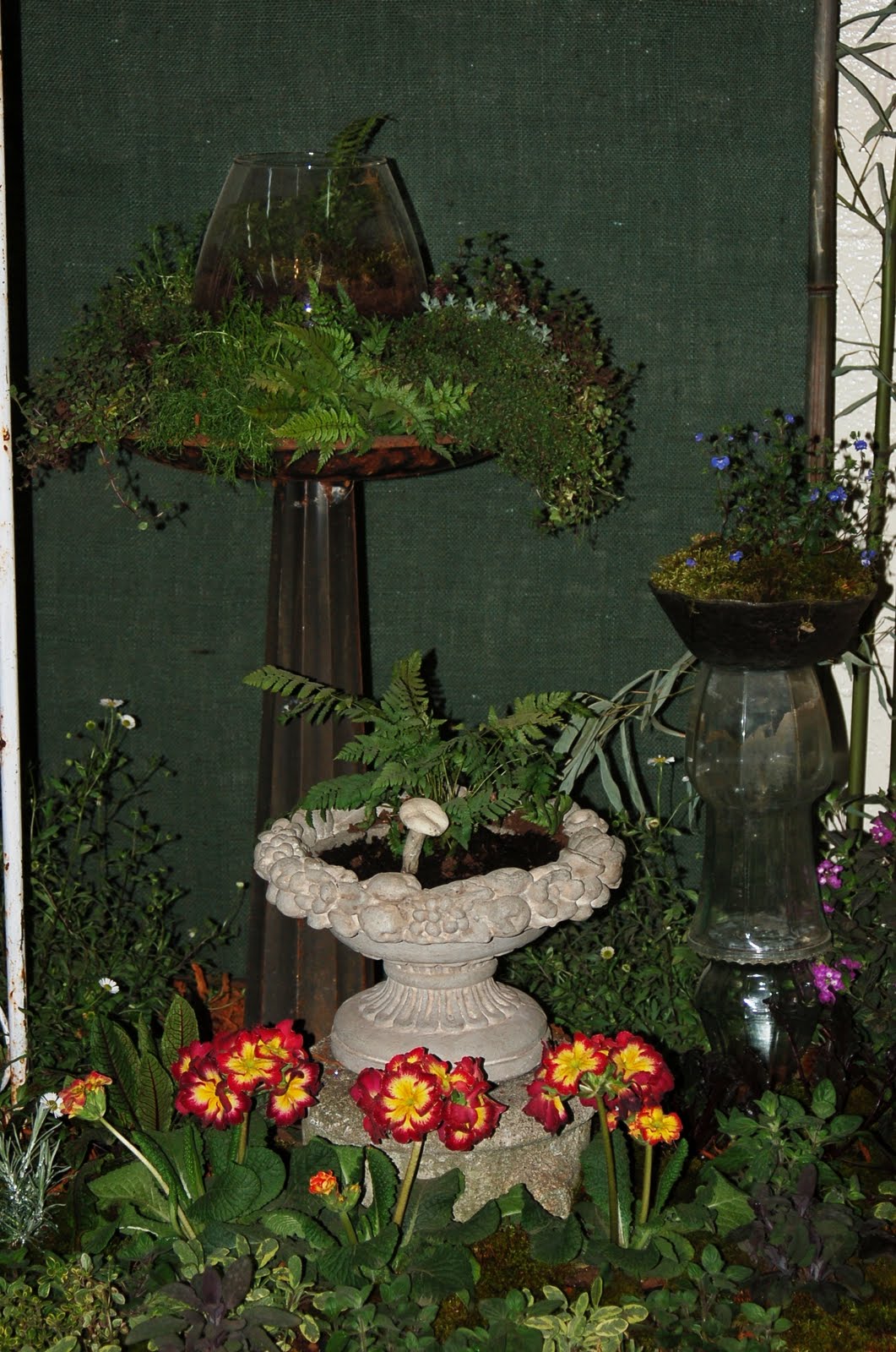 bwisegardening Day 74 What's in the Pot for the Nashville Lawn and