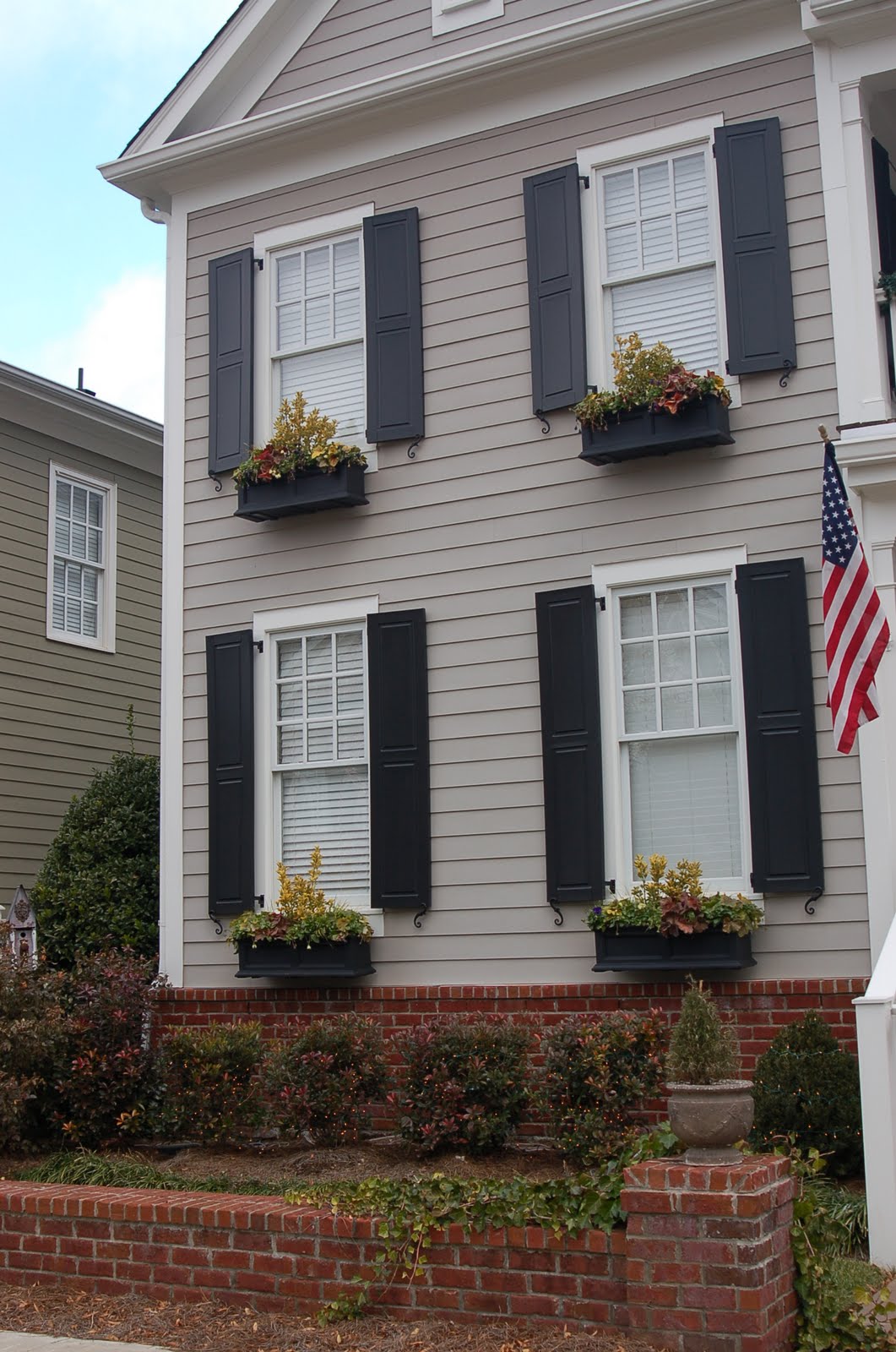 bwisegardening: Day 85 - Bright Winter Windowboxes