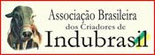 INDUBRASIL - BRASIL