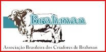 BRAHMAN - BRASIL