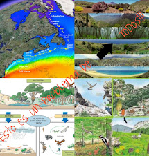 Galeria: ecosistemas