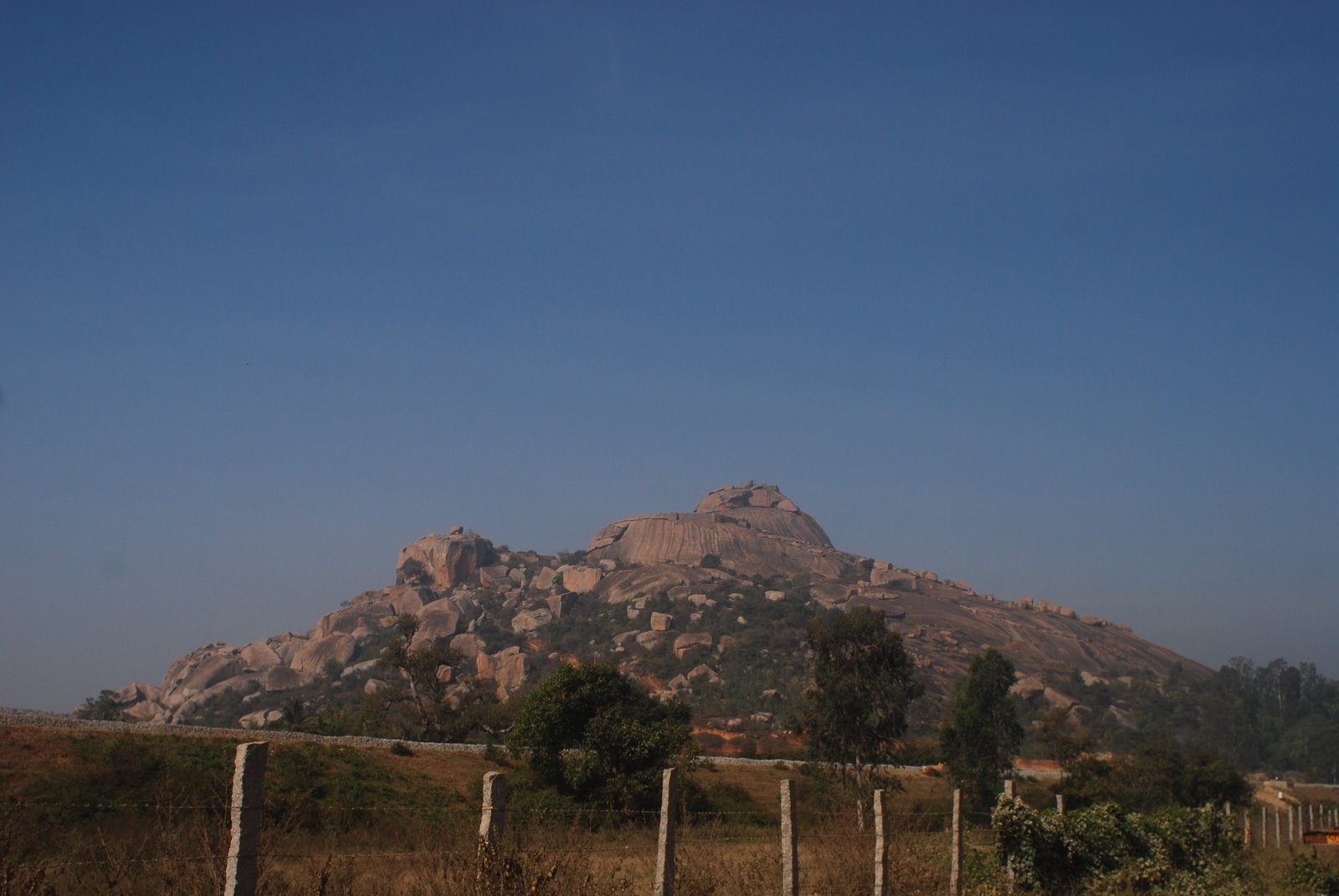 [dsc_5699.jpg]