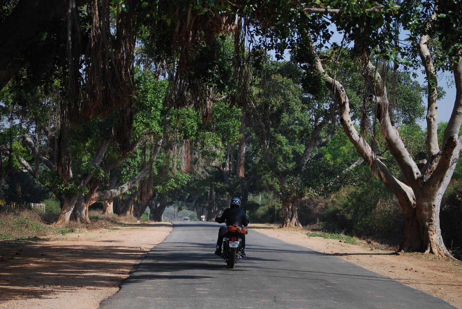 [dsc_5688.jpg]