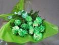 [Green+Carnations..jpg]