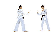 [Obrazek: TKD-animated-fight.gif]
