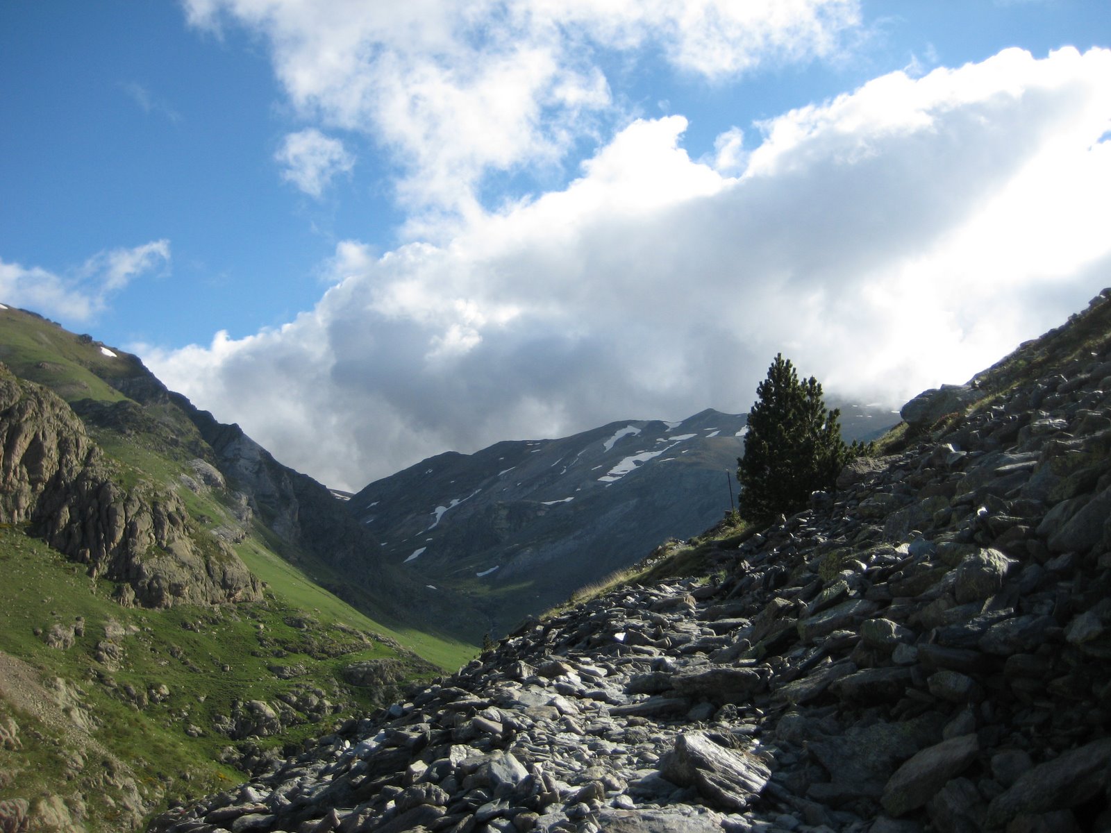 [IMG_0486.JPG]