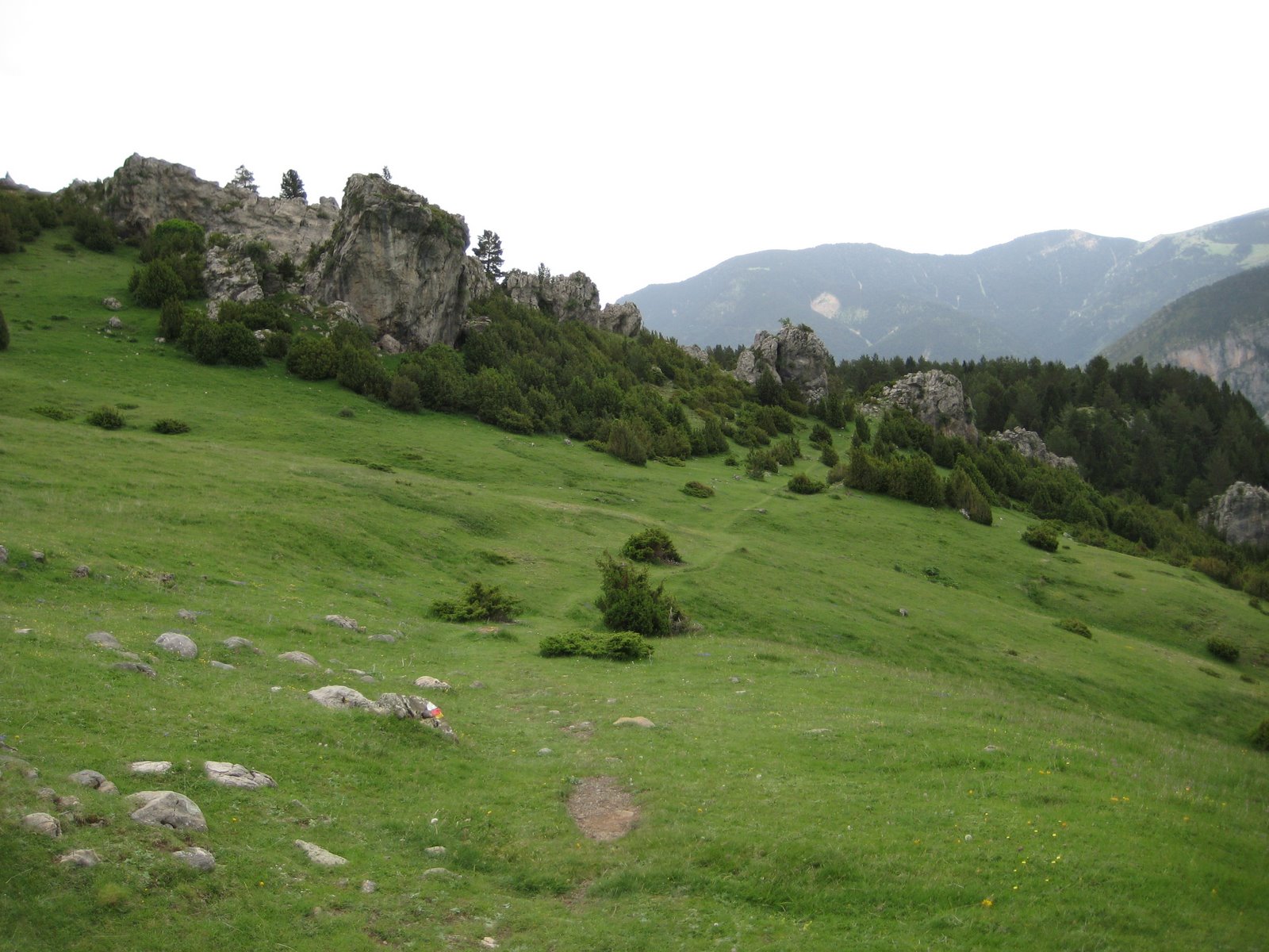 [IMG_0631.JPG]