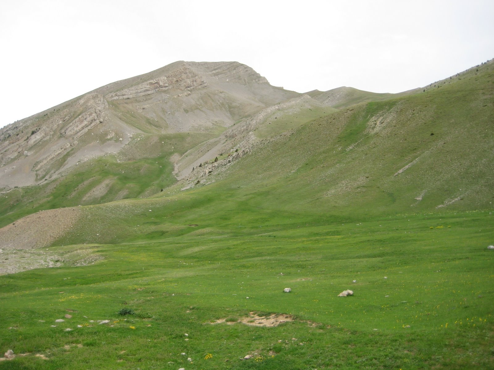 [IMG_0594.JPG]