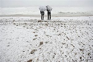 [300x199_03091326_snowinspain.jpg]