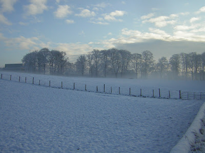 >24 March, 2010: Ferocious, Frightening or a Fairytale? A Continental Winter which brought one of the coldest, longest winters in living memory to Britain