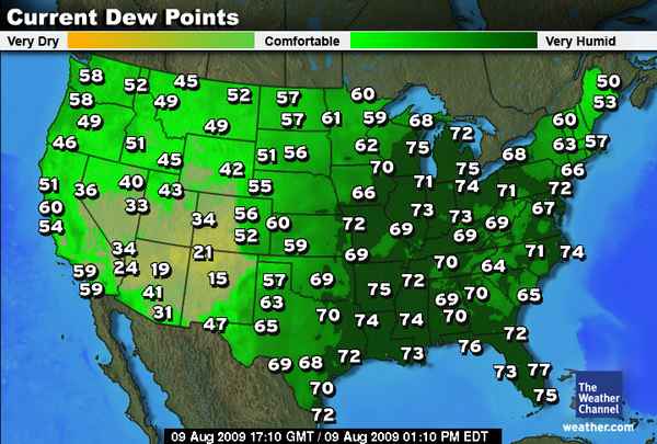 [actdew_600x405.jpg]